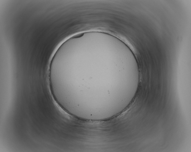 X0000111811532200908201100
