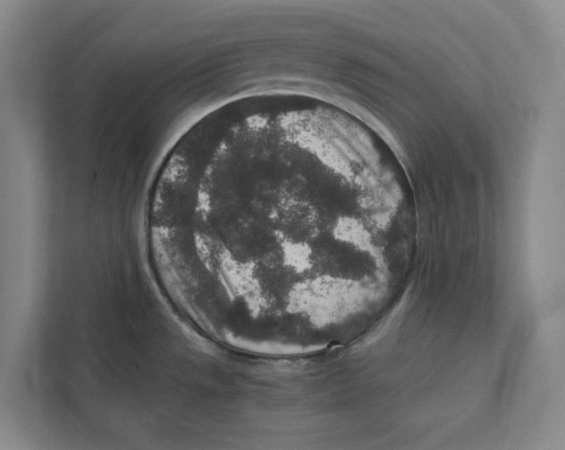 X0000111811533200908201100