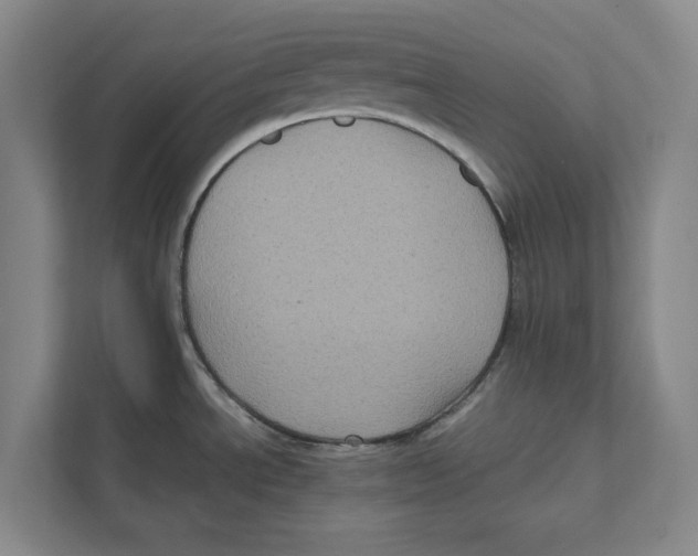X0000111811534200908201100