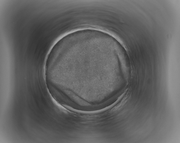 X0000111811535200908201100