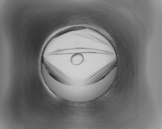 X0000111811536200908201100