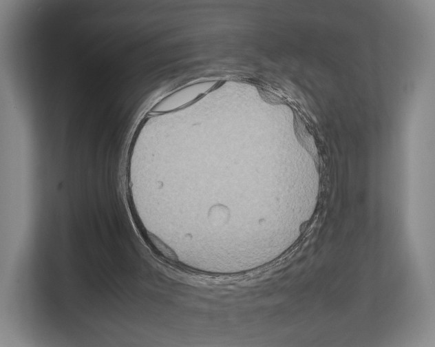 X0000111810003200909031440