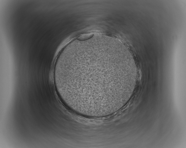 X0000111810004200909031440