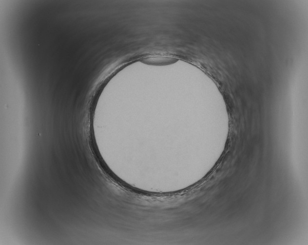X0000111810005200909031440