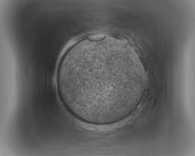 X0000111810006200909031440