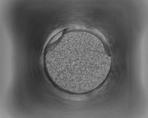 X0000111810008200909031440