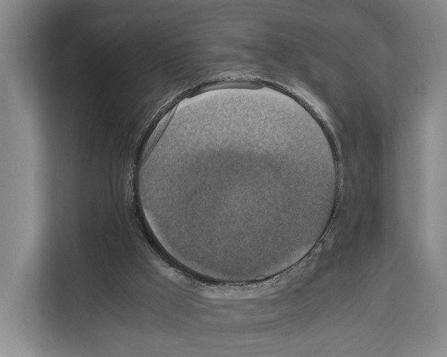 X0000111810009200909031439