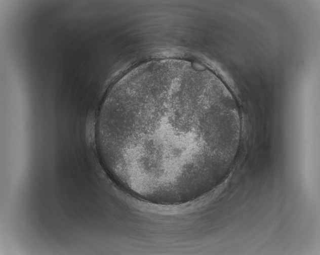 X0000111810010200909031439