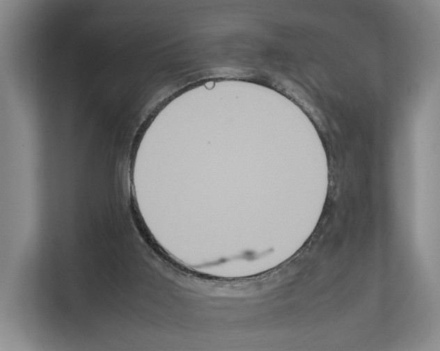 X0000111810011200909031439