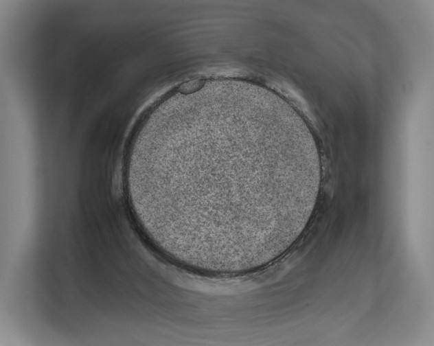 X0000111810012200909031439