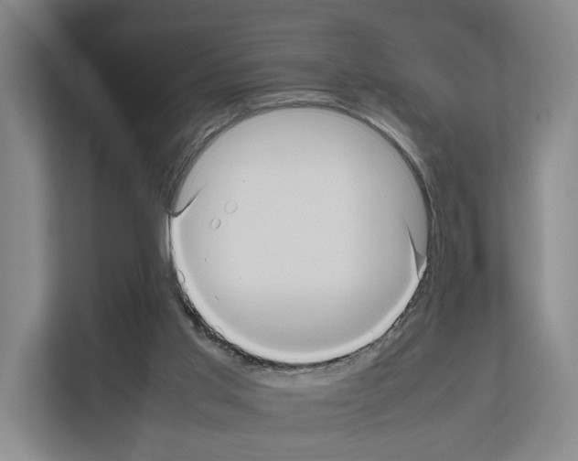 X0000111810013200909031439