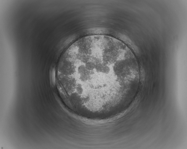 X0000111810014200909031439