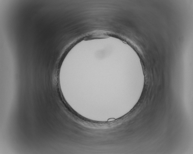 X0000111810015200909031439
