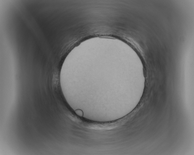 X0000111810017200909031439