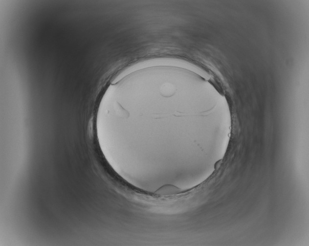 X0000111810019200909031439