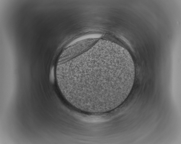 X0000111810020200909031439