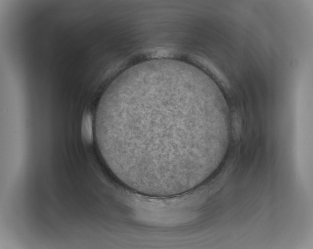 X0000111810022200909031439