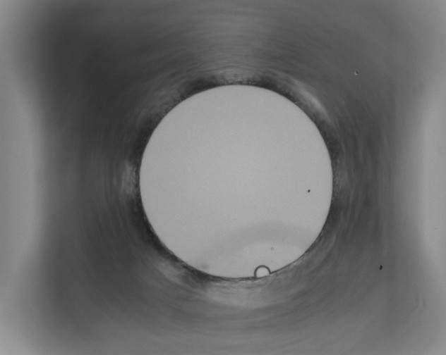 X0000111810025200909031439