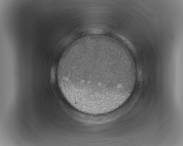 X0000111810026200909031439