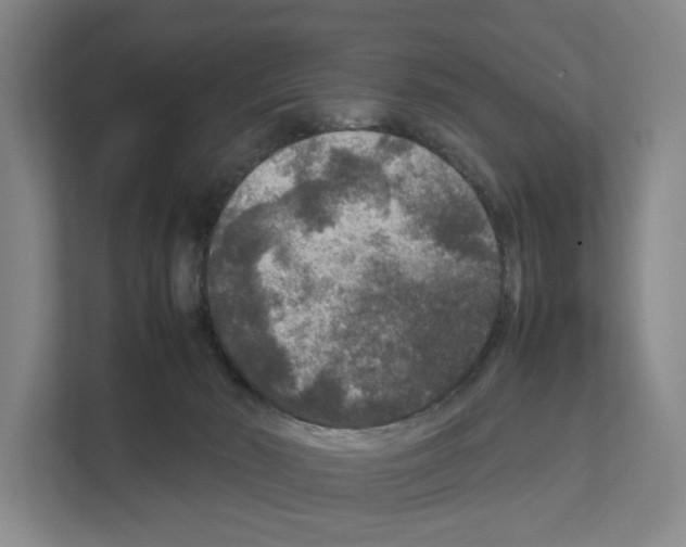 X0000111810030200909031439