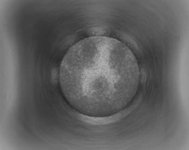 X0000111810034200909031439