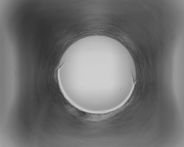 X0000111810037200909031439
