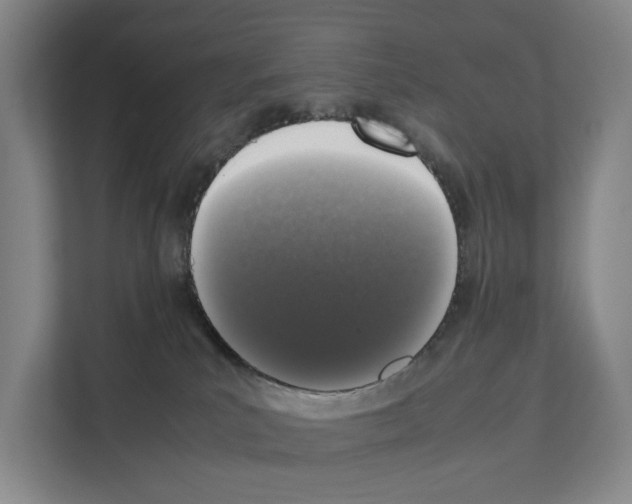 X0000111810039200909031439