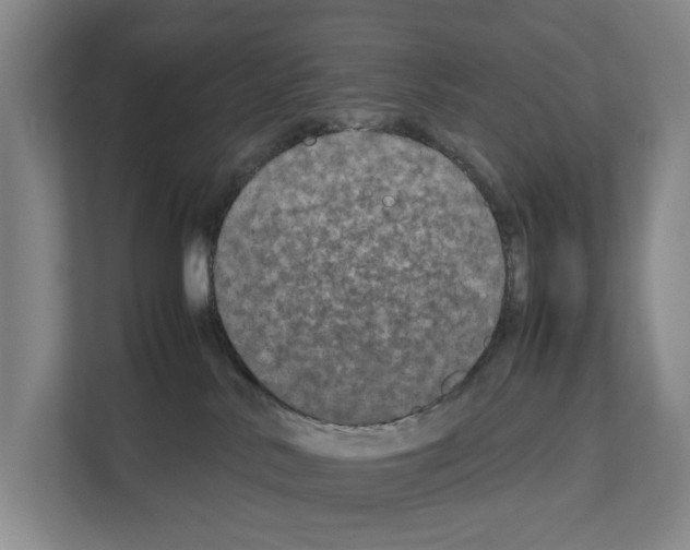 X0000111810042200909031439