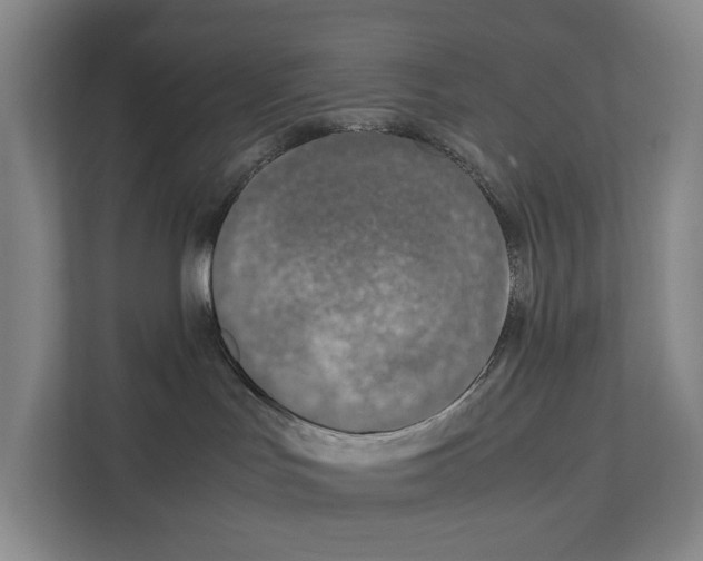 X0000111810047200909031439