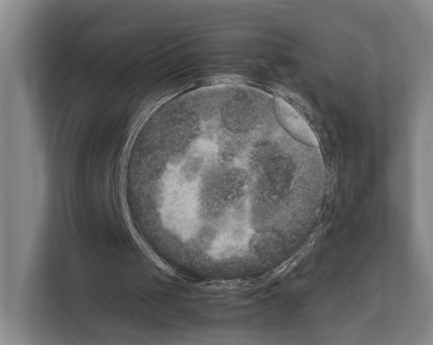 X0000111810049200909031438