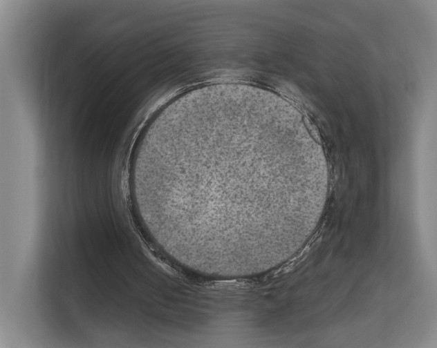 X0000111810050200909031438