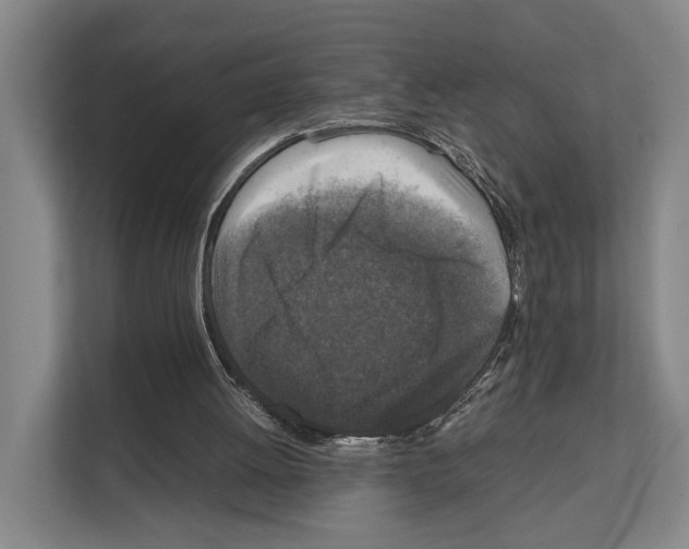 X0000111810052200909031438