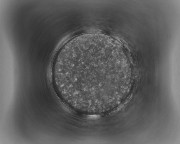 X0000111810053200909031438