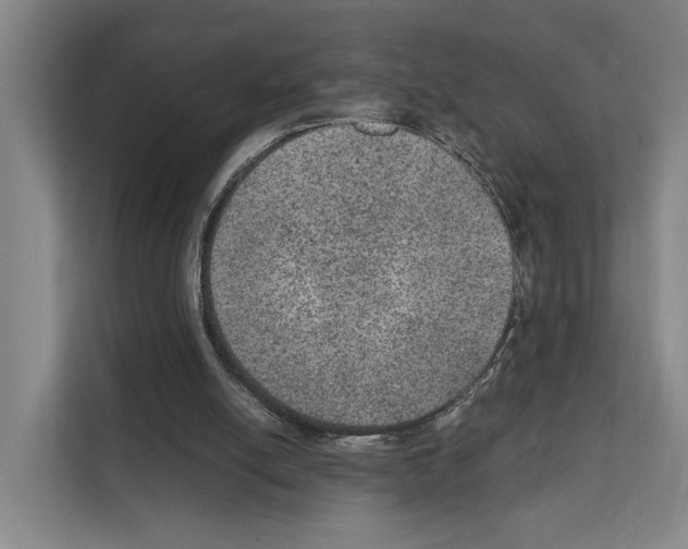 X0000111810054200909031438