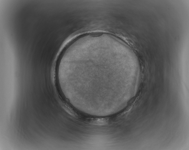 X0000111810056200909031438