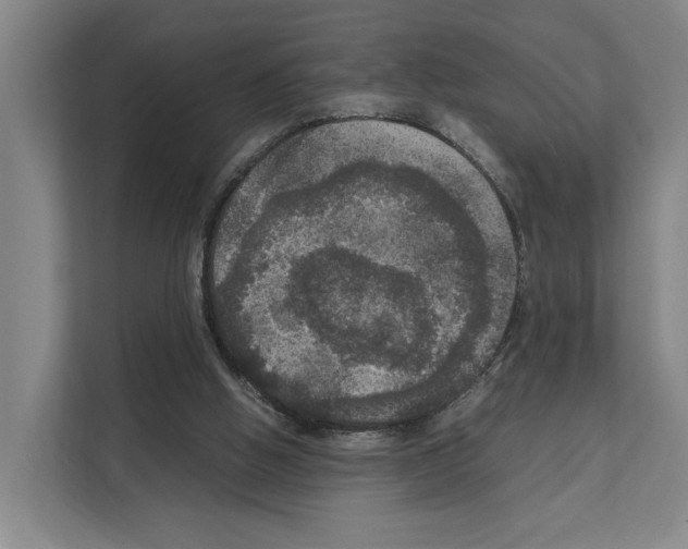 X0000111810058200909031438