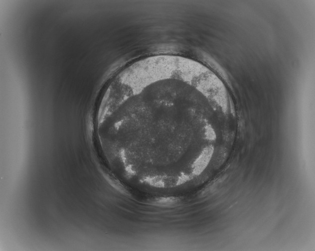 X0000111810059200909031438