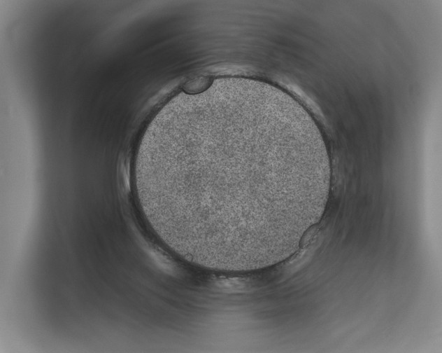 X0000111810062200909031439