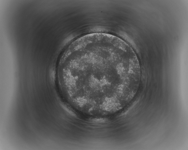 X0000111810063200909031439