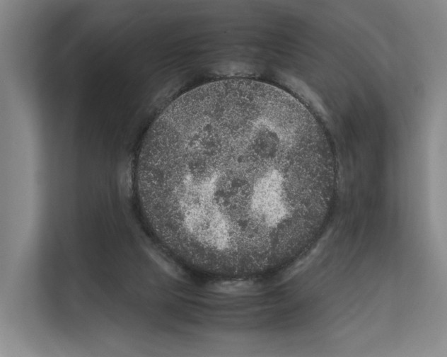 X0000111810065200909031439
