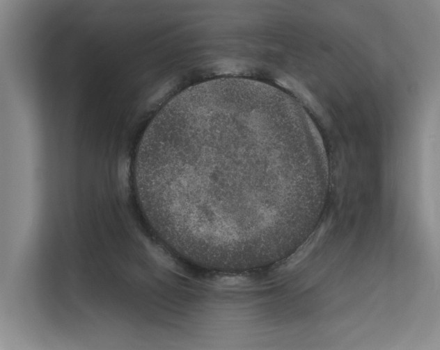 X0000111810066200909031439