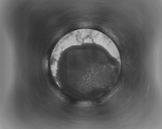 X0000111810067200909031439