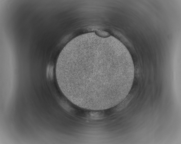 X0000111810070200909031439