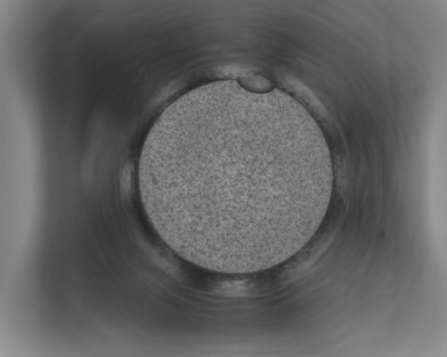X0000111810071200909031439