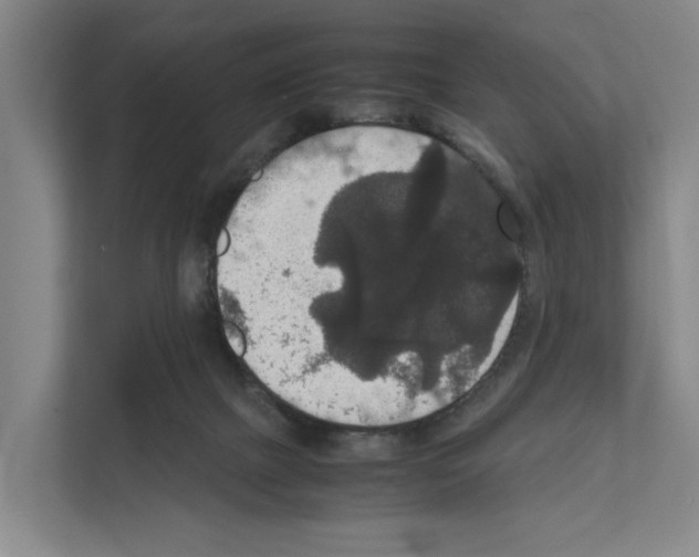 X0000111810073200909031439