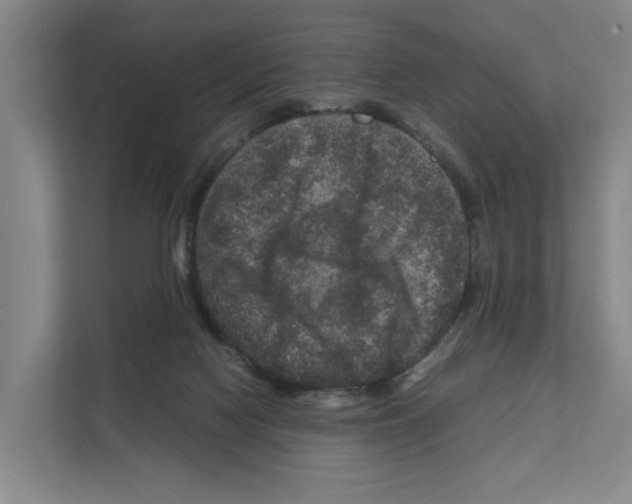 X0000111810074200909031439