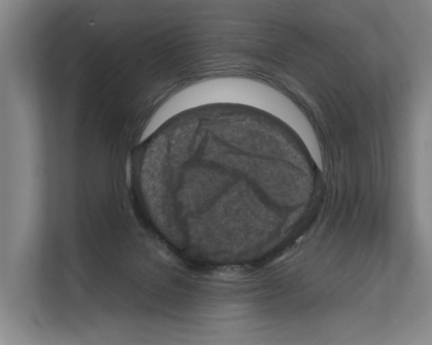 X0000111810076200909031439