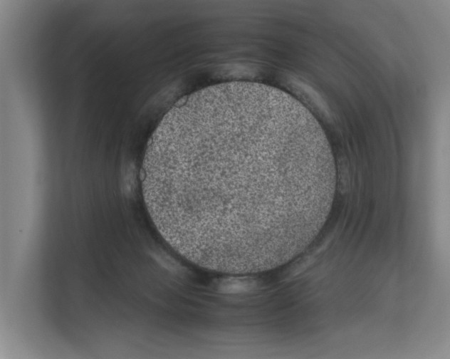 X0000111810077200909031439