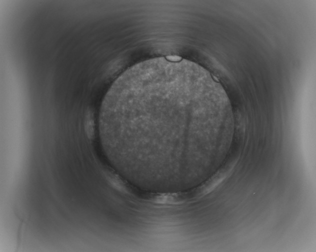 X0000111810080200909031439