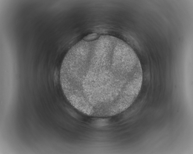 X0000111810081200909031439
